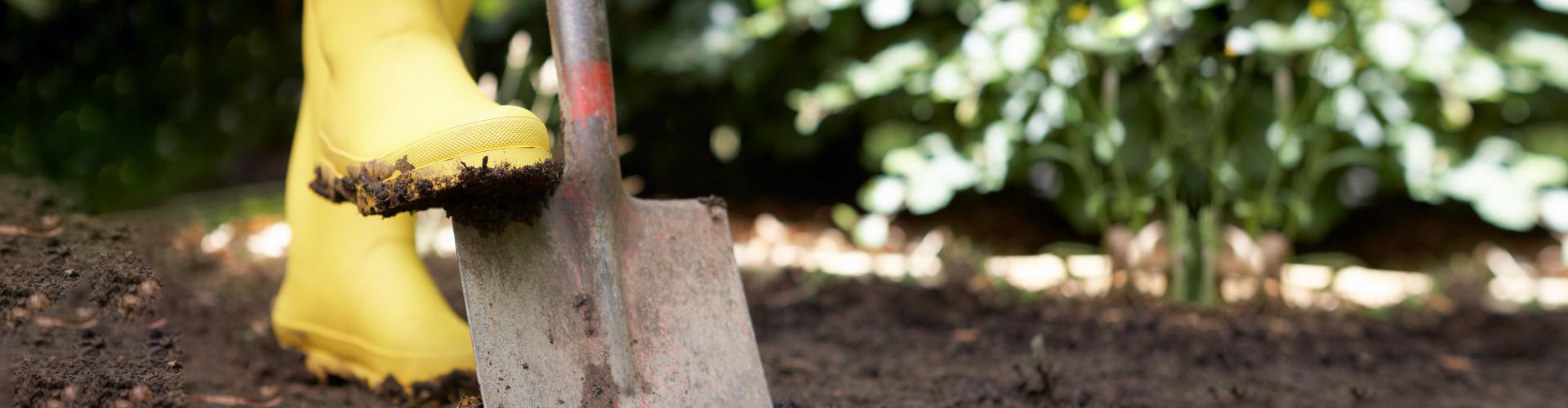 close up of a yellow rubber boot pushing a shovel into to the ground