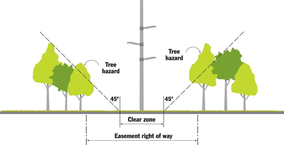 Vegetation Management, Tree Trimming & Removal | Canadian Niagara Power